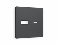 Лицевая панель розетки USB для быстрой зарядки тип A+C, Графит Мягкое касание, ALFA Quant Ambrella Volt AP9110