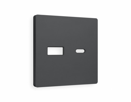 Лицевая панель розетки USB для быстрой зарядки тип A+C, Графит Мягкое касание, ALFA Quant Ambrella Volt AP9110