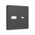 Лицевая панель розетки USB для быстрой зарядки тип A+C, Графит Мягкое касание, ALFA Quant Ambrella Volt AP9110