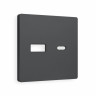 Лицевая панель розетки USB для быстрой зарядки тип A+C, Графит Мягкое касание, ALFA Quant Ambrella Volt AP9110