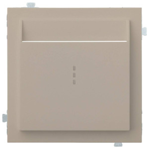 Лицевая панель для выключателя для гостиниц карточного, Латте, Rikett 35731 LT
