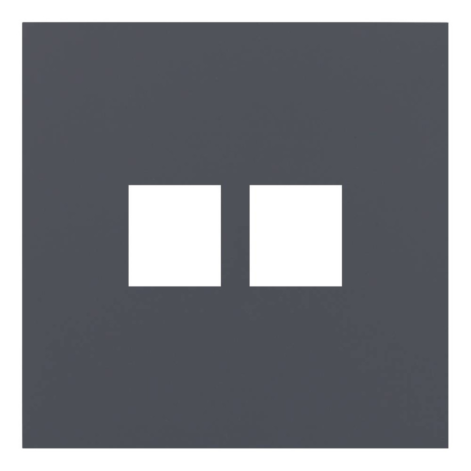 Лицевая панель на механизм 2-ой инф. роз., Базальт, Rikkett 35442 BT