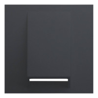 Лицевая панель для вывода кабеля, Черный сатин, Rikkett 35170 MB