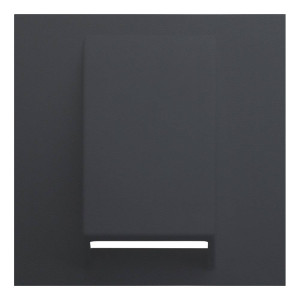Лицевая панель для вывода кабеля, Черный сатин, Rikkett 35170 MB Лицевая панель для вывода кабеля, Черный сатин, Rikkett 35170 MB