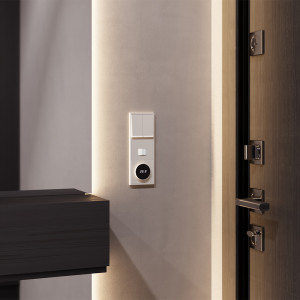 Клавиши для выключателя 2-кл с подсветкой, Хлопок, S70 Voltum VLS000413