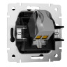 Розетка компьютерная RJ45 Cat. 6а, Черный матовый, Werkel W5120108