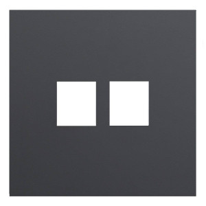 Лицевая панель на механизм 2-ой инф. роз., Черный сатин, Rikkett 35442 MB Лицевая панель на механизм 2-ой инф. роз., Черный сатин, Rikkett 35442 MB