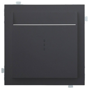 Лицевая панель для выключателя для гостиниц карточного, Черный сатин, Rikett 35731 MB