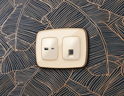 Лицевая панель розетки USB для быстрой зарядки тип A+C, Бежевый глянец, OMEGA Quant Ambrella Volt OP3110
