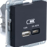 Розетка USB для быстрой зарядки, тип A+C 45Вт, Карбон, AtlasDesign SE ATN001029