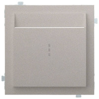 Лицевая панель для выключателя для гостиниц карточного, Платина, Rikett 35731 PL