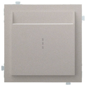 Лицевая панель для выключателя для гостиниц карточного, Платина, Rikett 35731 PL