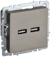Розетка USB для зарядки, тип А+А 3,1А, Шампань, Brite IEK BR-U21-D31-K37