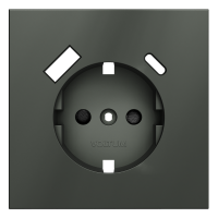 Лицевая панель для розетки с З/К и шторками, с USB A+C, Титан, S70 Voltum VLS001006