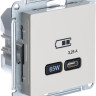 Розетка USB для быстрой зарядки, тип C 65Вт, Бежевый, AtlasDesign SE ATN000227