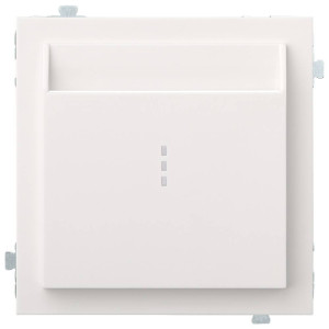 Лицевая панель для выключателя для гостиниц карточного, Белый сатин, Rikett 35731 MW