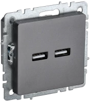 Розетка USB для зарядки, тип А+А 3,1А, Сталь, Brite IEK BR-U21-D31-K46