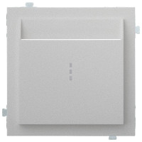 Лицевая панель для выключателя для гостиниц карточного, Серебро, Rikett 35731 SV