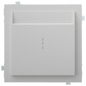 Лицевая панель для выключателя для гостиниц карточного, Серебро, Rikett 35731 SV