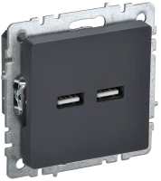 Розетка USB для зарядки, тип А+А 3,1А, Графит, Brite IEK BR-U21-D31-K53 