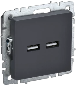 Розетка USB для зарядки, тип А+А 3,1А, Графит, Brite IEK BR-U21-D31-K53 