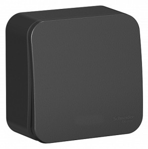 Кнопка без фиксации 10А, Антрацит, Blanca SE BLNCA101016