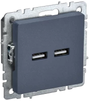 Розетка USB для зарядки, тип А+А 3,1А, Маренго, Brite IEK BR-U21-D31-K35