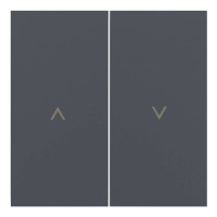 Лицевая панель для выключателя жалюзи, Базальт, Rikkett 35613 BT