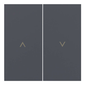 Лицевая панель для выключателя жалюзи, Базальт, Rikkett 35613 BT