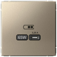 Розетка USB для быстрой зарядки, тип C 65Вт, Шампань, ArtGallery SE GAL000527