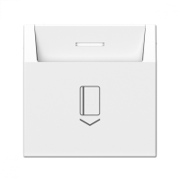 Выключатель карточный для гостиниц, Белый, ArtGallery SE GAL000114S