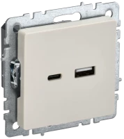 Розетка USB для зарядки, тип А+C, Бежевый, Brite IEK BR-U22-018-K10
