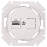 Розетка компьютерная RJ45 Cat. 5e, Перламутр, серия Прованс, Bylectrica РК18-6311