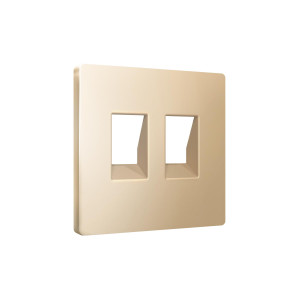 Лицевая панель розетки комп./телеф. 2-ой RJ45/RJ11 Cat. 6, Шампань, ALFA Quant Ambrella Volt AP6121 Лицевая панель розетки комп./телеф. 2-ой RJ45/RJ11 Cat. 6, Шампань, ALFA Quant Ambrella Volt AP6121