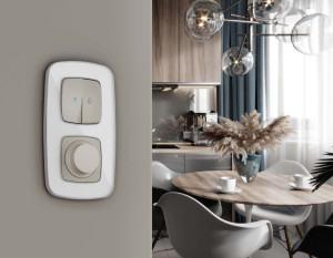 Рамка 2 местная стекло органическое, Белый\Серебро, OMEGA Coint Ambrella Volt OF640132