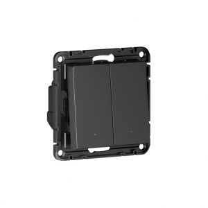 Выключатель 2 кл. с подсветкой, Карбон, AtlasDesign Sber SE ATN001053Z