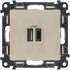 Розетка USB для зарядки A+C, Слоновая кость, Valena Life Legrand 753206