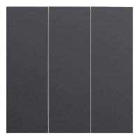 Лицевая панель выключателя 3 кл., Черный сатин, Rikett 35661 MB