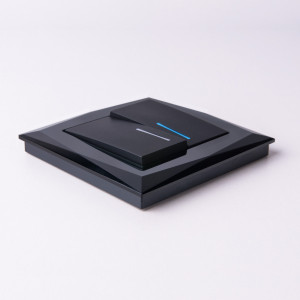 Выключатель 2 кл. с подсветкой, Черный матовый, Werkel W1120108