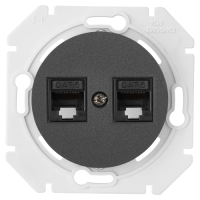 Розетка 2-ая компьютерная RJ45 Cat. 5e, Графит, серия Прованс, Bylectrica РК216-6312