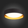Потолочный светодиодный светильник Evoluce Orbio SLE201102-01