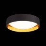 Потолочный светодиодный светильник Evoluce Orbio SLE201102-01
