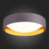 Потолочный светодиодный светильник Evoluce Orbio SLE201112-01