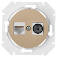 Розетка комп.+тв. RJ45+TV Cat. 5e, Шампань, серия Прованс, Bylectrica ТК-6351