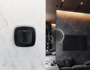 Рамка 2 местная стекло органическое, Черный\Сталь, OMEGA Coint Ambrella Volt OF640532