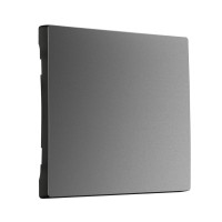 Лицевая панель выключателя 1 кл., Графит матовый, Werkel W1119064