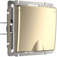 Розетка с З/К с крышкой, герметичная IP44, Шампань, Werkel W1171211