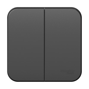 Выключатель 2 кл. 10А, Антрацит, Blanca SE BLNVA105016