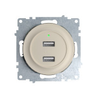 Розетка USB 2-я для зарядки, Бежевый, OneKeyElectro 1E10351301