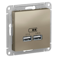 Розетка USB для зарядки, Шампань, AtlasDesign  SE ATN000533